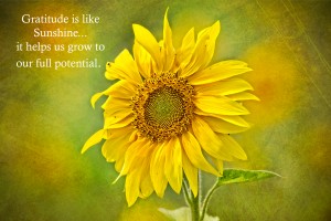 Gratitude is Like Sunshine