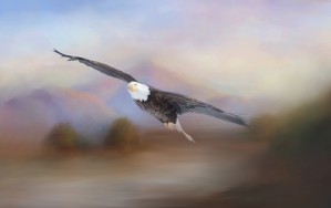 With the Winds