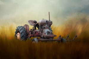 Seasons of the Past