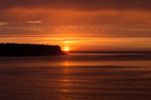 Orange Sunshine