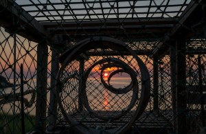 Trapped Sunset