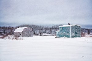 Homestead