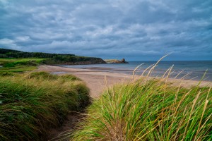 Sand and Grass