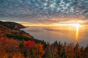 Autumn Glory