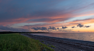 Dreams of Petit Etang