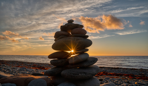 A Sense of Direction