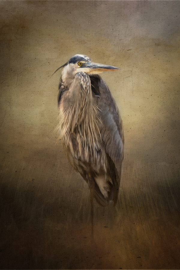 Great Blue Heron in the Shadows Vert by Michel Soucy