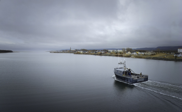 Black Diamond by Michel Soucy