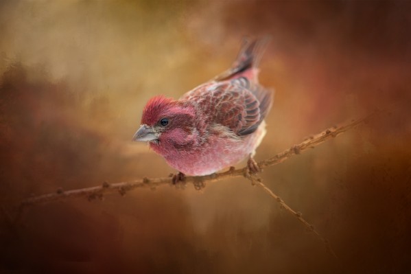 Eye on You by Michel Soucy