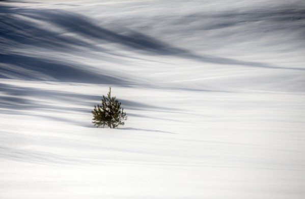 Solitude