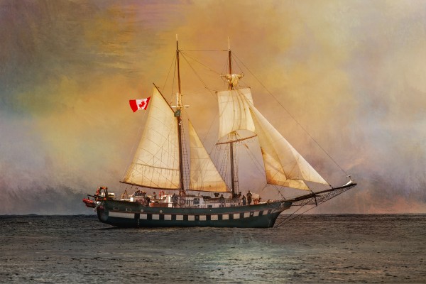 Fair Jeanne Imprimer