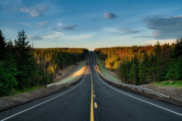 Passing Through by Michel Soucy