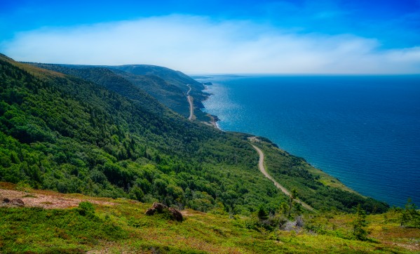 Cap Rouge Vista Print