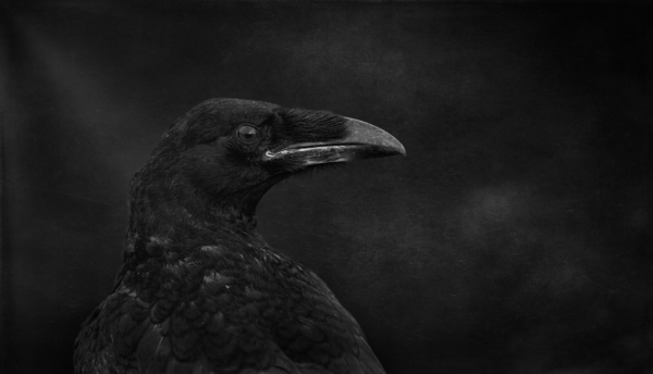 Young_and_black Print