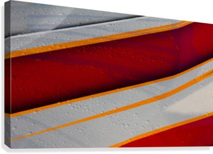 Droplets Canvas Print