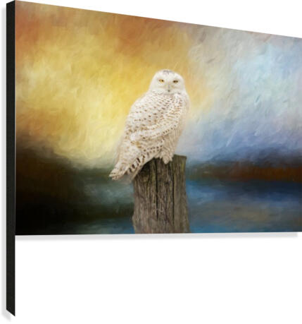 Impressions Canvas Print