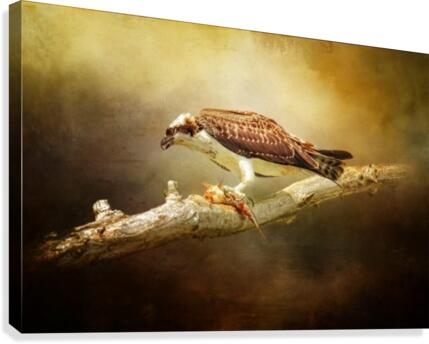 Lunch Time Canvas Print