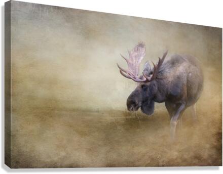 Full_Rack Canvas Print