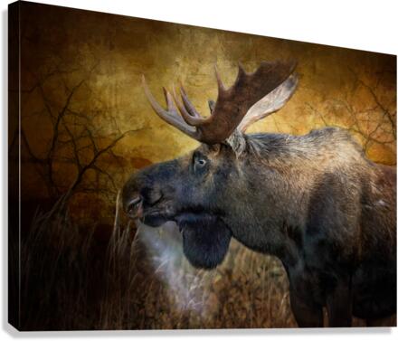 Breath_Taking  Canvas Print