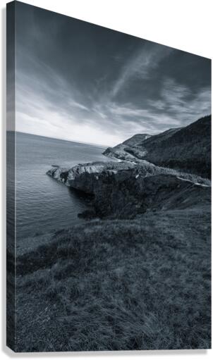 Vertical_Blue  Canvas Print