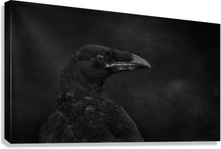 Young_and_black Canvas Print