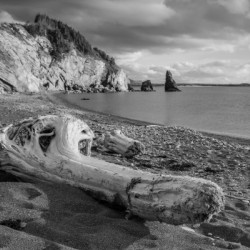La Presquile in black and white