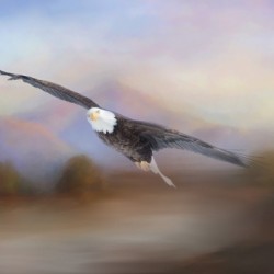 With the Winds