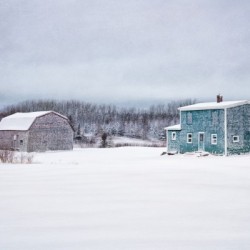 Homestead