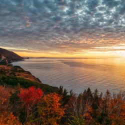 Autumn Glory