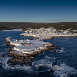 Neils Harbour Vista