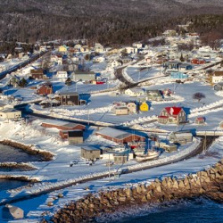 Neils Harbour Love 