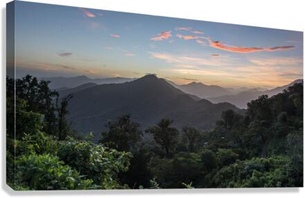 the narure Canvas Print
