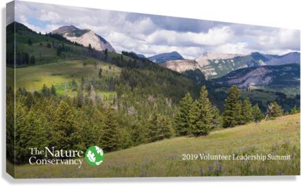 the nature Canvas Print