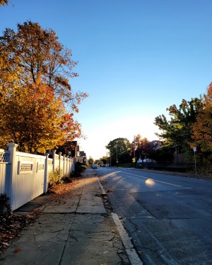 Screenshot 20201209 225343 Photos