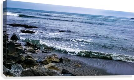 Snapchat 1233031158 Canvas Print