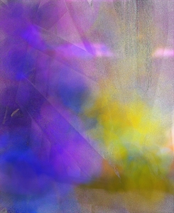 231