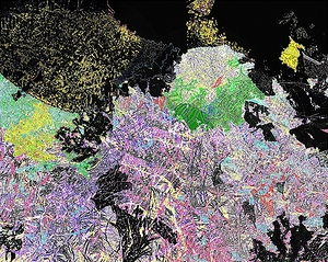 thunderbird21