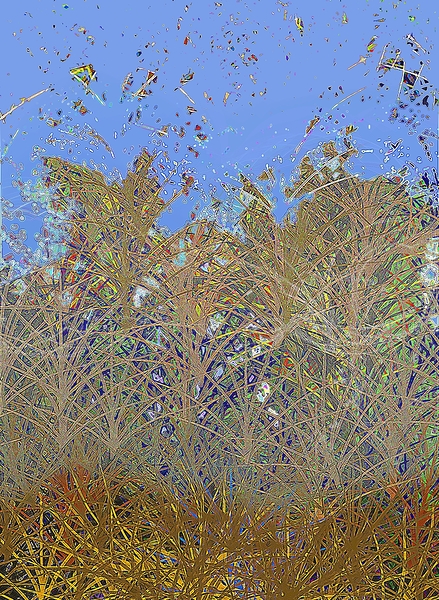 thicket Print