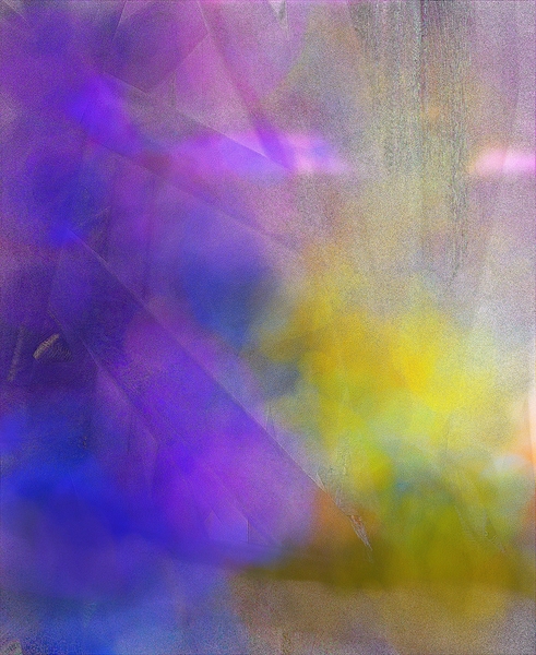 231 Print