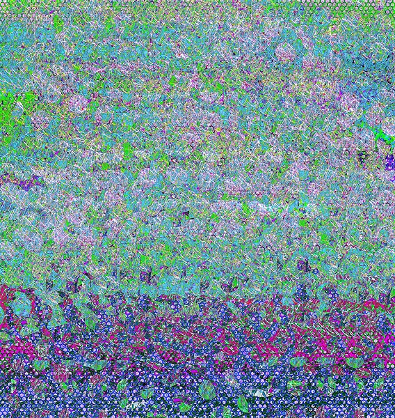 356 Print
