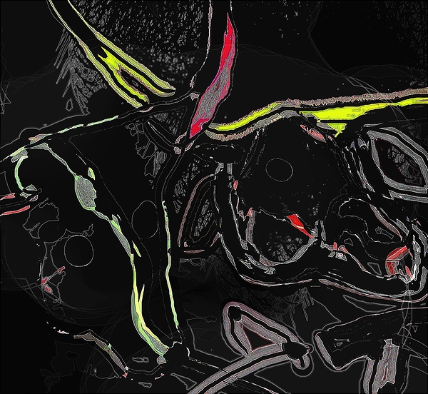 steer heads Print