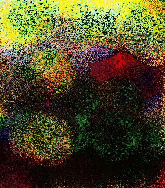 257 Print