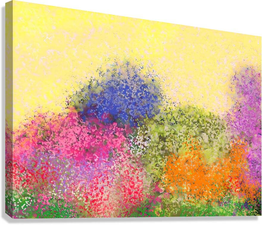 another garden Canvas Print
