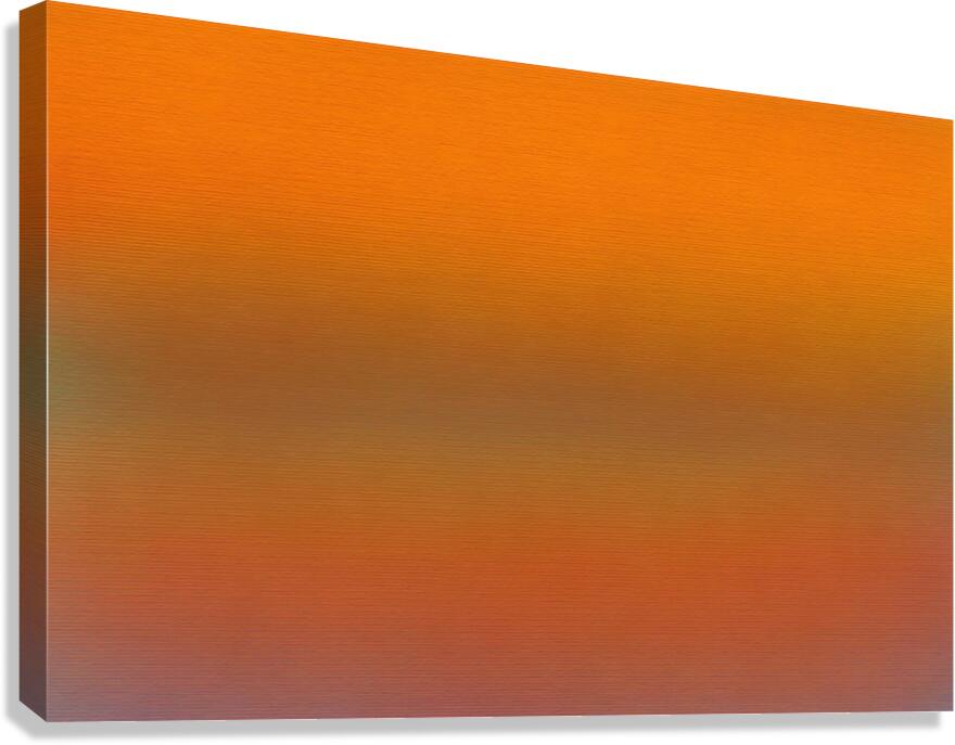 abstract 6  Canvas Print