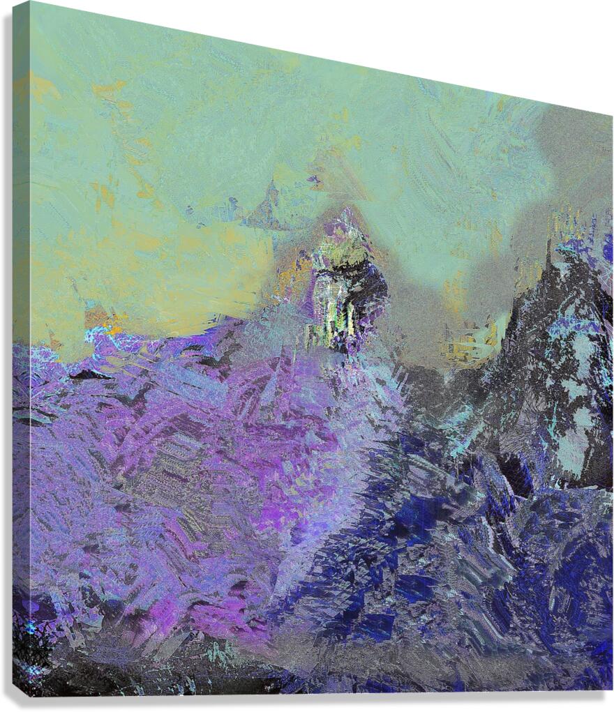 qs11 Canvas Print