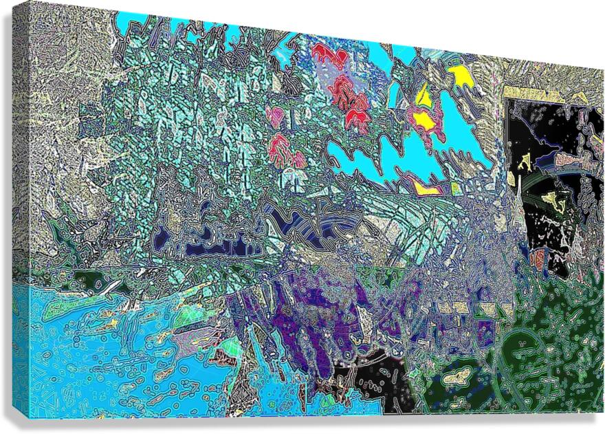 qs14 Canvas Print