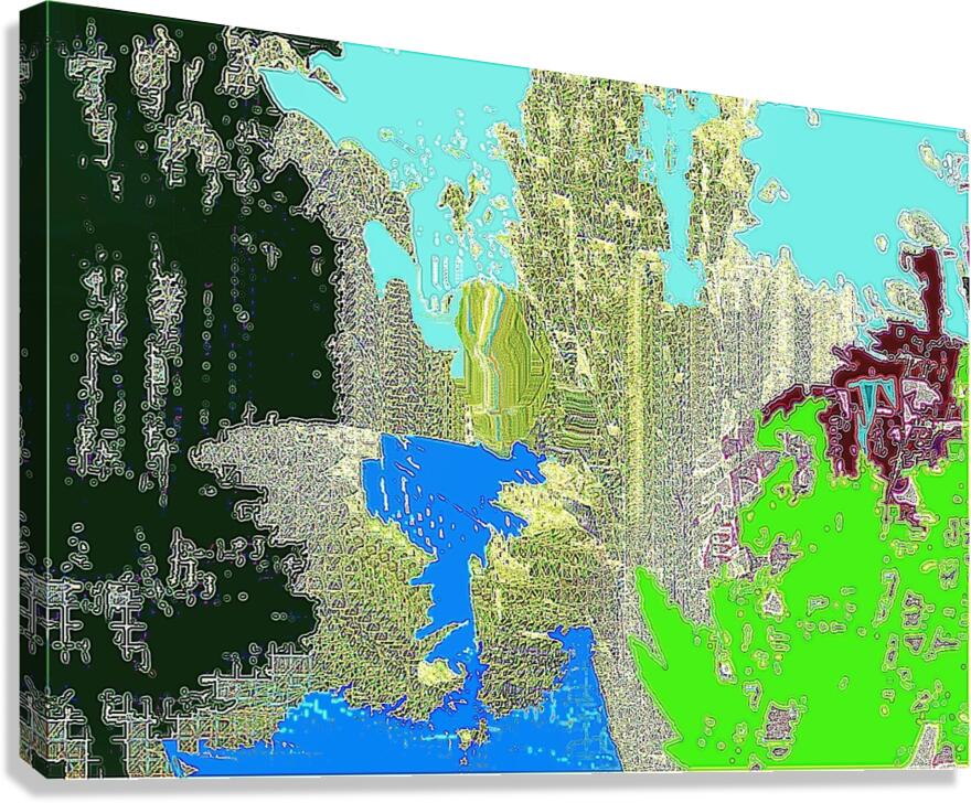 qs20 Canvas Print