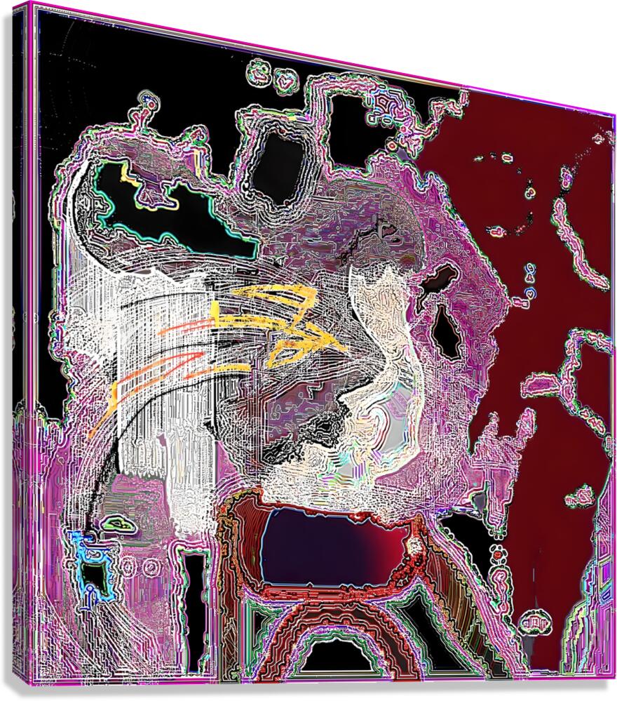 geisha14 Canvas Print