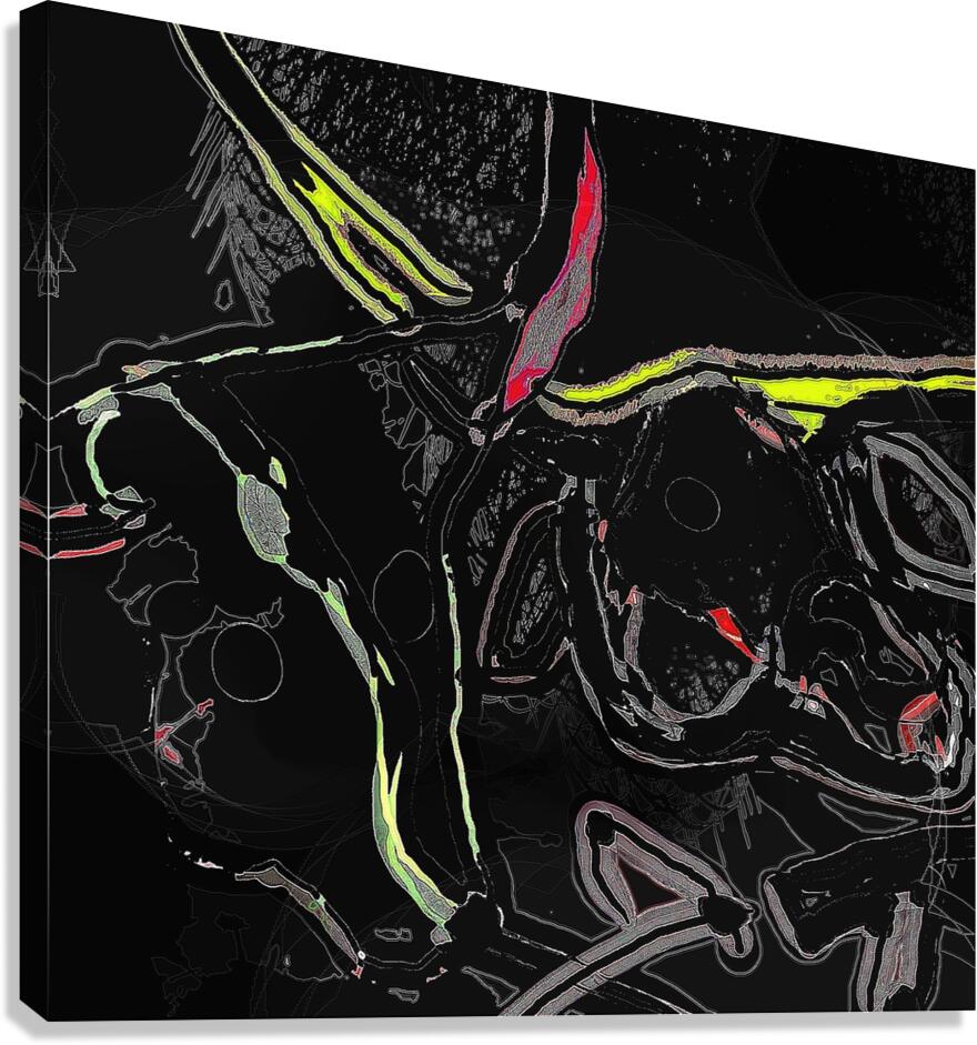 steer heads Canvas Print