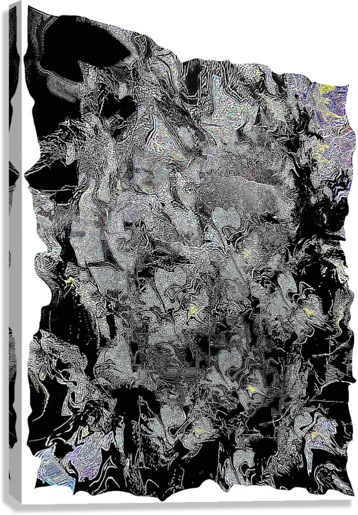 hide Canvas Print